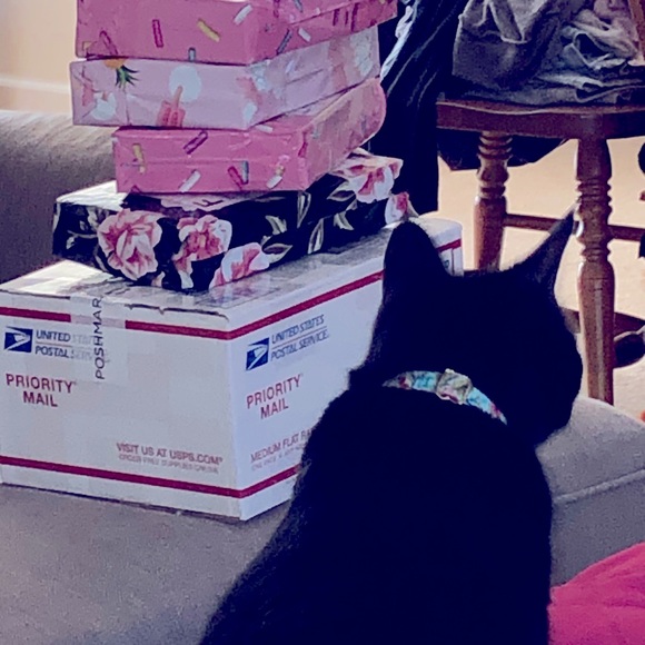 💖Come visit my Mama & Shop the Kitty-Korner!💖 - Picture 9 of 17